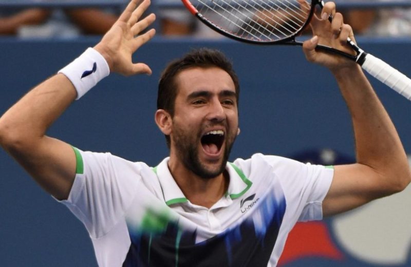 Теннис. Прогноз на матч Чилич — Оже-Альяссим, 13 июня