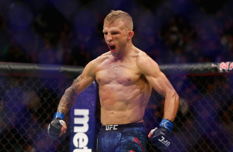 Смешанные единоборства. Прогноз на бой Кори Сэндхаген — Ти Джей Диллашоу, 25 июля